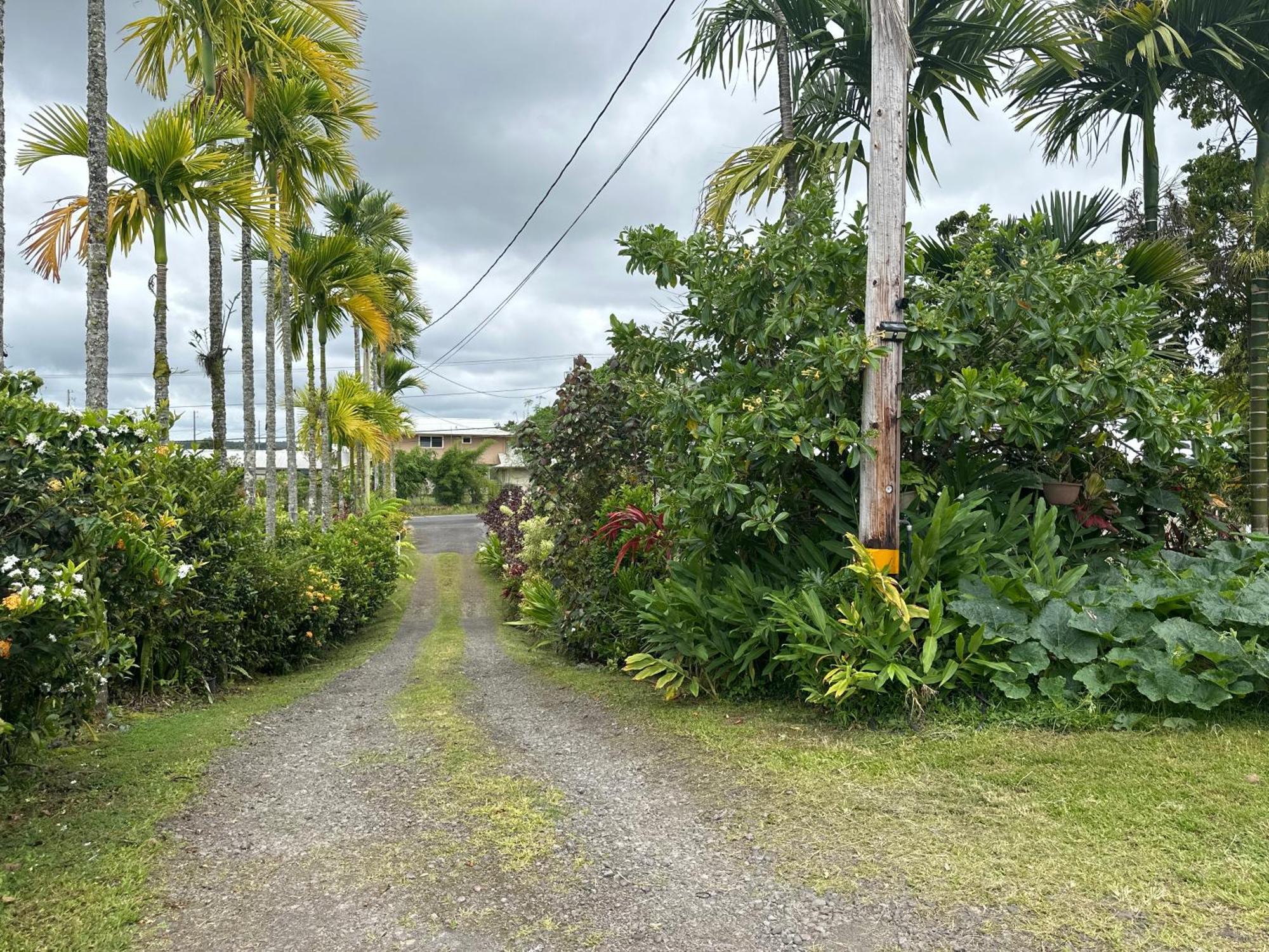 Hawaiian Ohana Home Хило Экстерьер фото