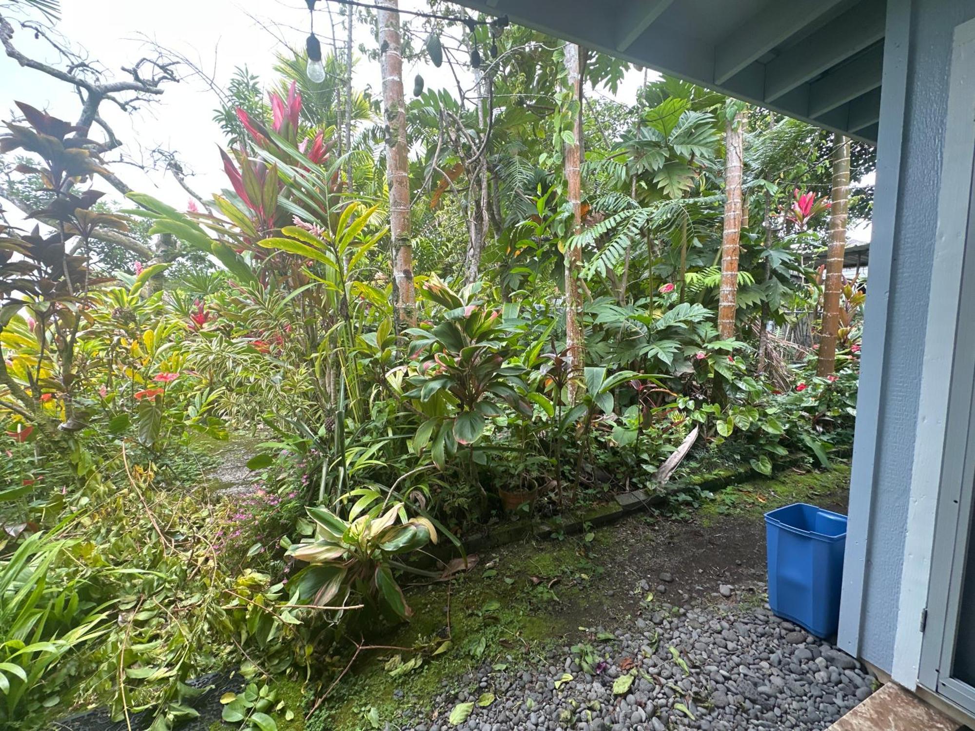 Hawaiian Ohana Home Хило Экстерьер фото