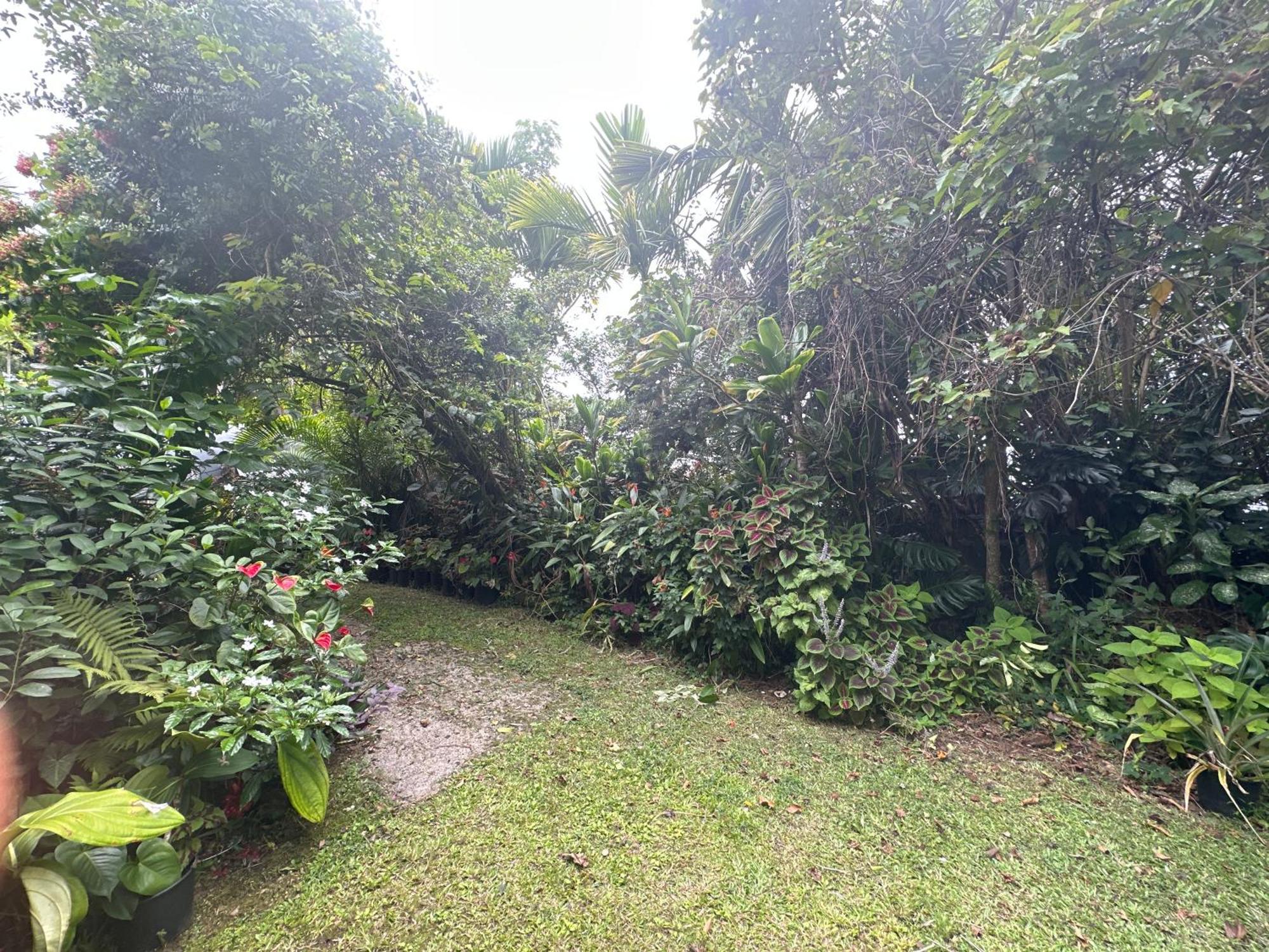 Hawaiian Ohana Home Хило Экстерьер фото