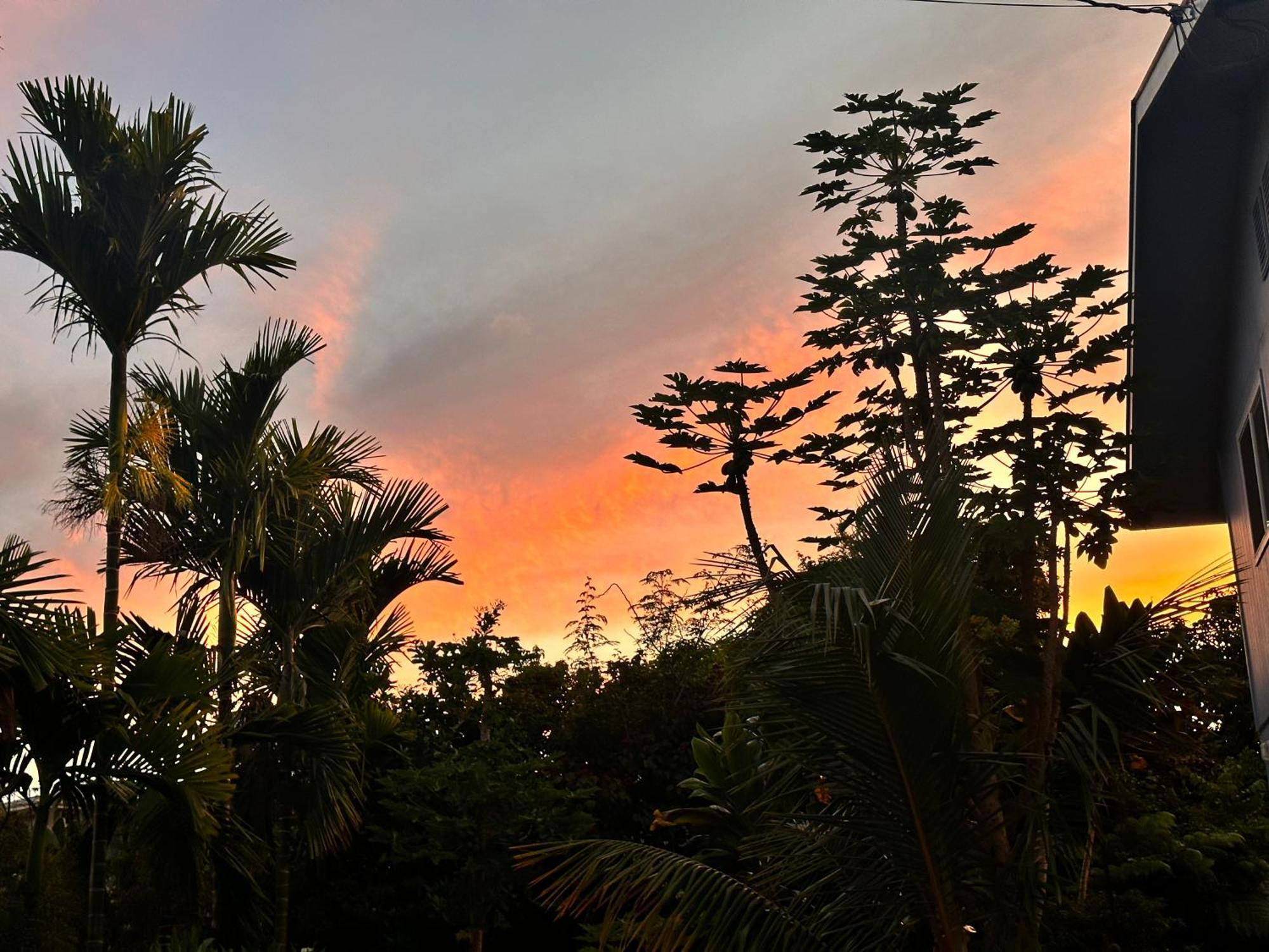 Hawaiian Ohana Home Хило Экстерьер фото